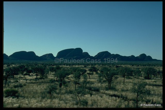 The Olgas from a distance. ©Pauleen Cass 1994